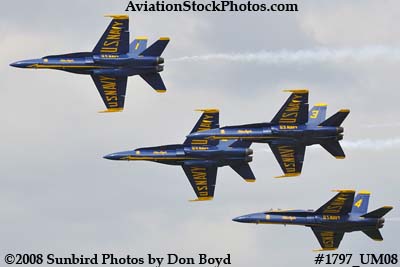 The Blue Angels at the 2008 Great Tennessee Air Show at Smyrna aviation stock photo #1797