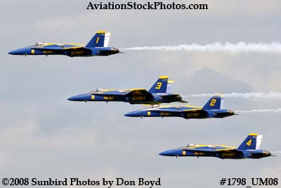 The Blue Angels at the 2008 Great Tennessee Air Show at Smyrna aviation stock photo #1798