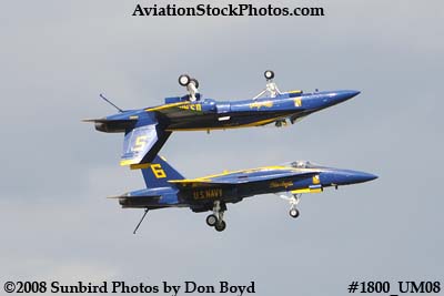 Blue Angels #5 and #6 at the 2008 Great Tennessee Air Show at Smyrna aviation stock photo #1800