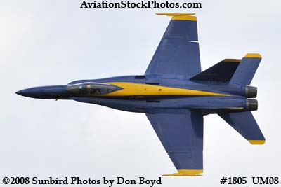 One of the Blue Angels at the 2008 Great Tennessee Air Show at Smyrna aviation stock photo #1805