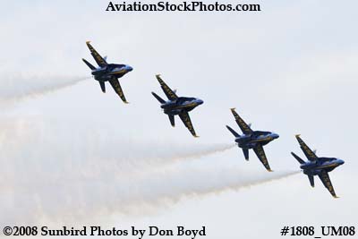 The Blue Angels at the 2008 Great Tennessee Air Show at Smyrna aviation stock photo #1808