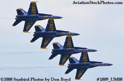 The Blue Angels at the 2008 Great Tennessee Air Show at Smyrna aviation stock photo #1809