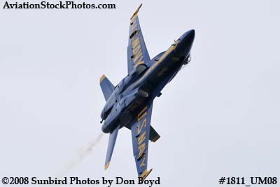 One of the Blue Angels at the 2008 Great Tennessee Air Show at Smyrna aviation stock photo #1811