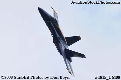 One of the Blue Angels at the 2008 Great Tennessee Air Show at Smyrna aviation stock photo #1815
