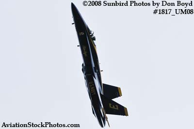 One of the Blue Angels at the 2008 Great Tennessee Air Show at Smyrna aviation stock photo #1817