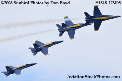 The Blue Angels at the 2008 Great Tennessee Air Show at Smyrna aviation stock photo #1818