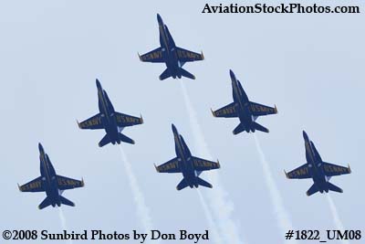The Blue Angels at the 2008 Great Tennessee Air Show at Smyrna aviation stock photo #1822