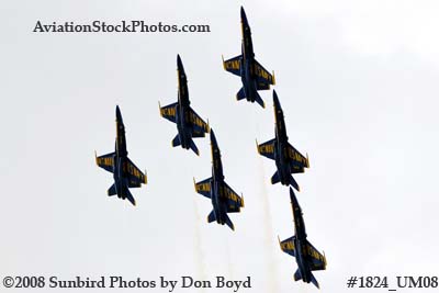 The Blue Angels at the 2008 Great Tennessee Air Show at Smyrna aviation stock photo #1824