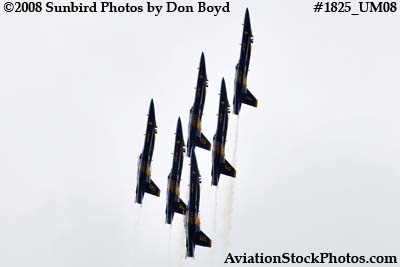 The Blue Angels at the 2008 Great Tennessee Air Show at Smyrna aviation stock photo #1825