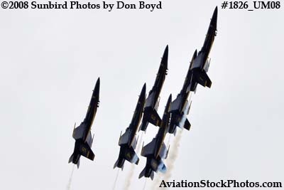 The Blue Angels at the 2008 Great Tennessee Air Show at Smyrna aviation stock photo #1826