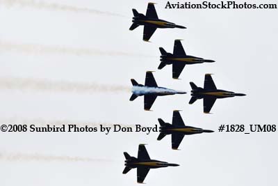 The Blue Angels at the 2008 Great Tennessee Air Show at Smyrna aviation stock photo #1828