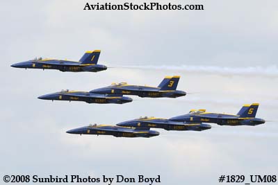 The Blue Angels at the 2008 Great Tennessee Air Show at Smyrna aviation stock photo #1829