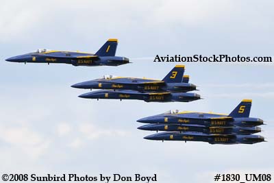 The Blue Angels at the 2008 Great Tennessee Air Show at Smyrna aviation stock photo #1830