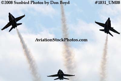 The Blue Angels at the 2008 Great Tennessee Air Show at Smyrna aviation stock photo #1831
