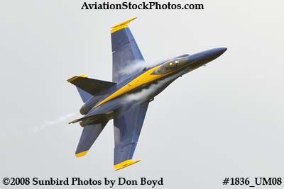 One of the Blue Angels at the 2008 Great Tennessee Air Show at Smyrna aviation stock photo #1836
