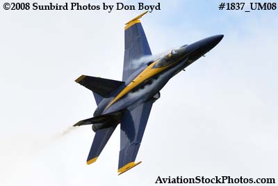 One of the Blue Angels at the 2008 Great Tennessee Air Show at Smyrna aviation stock photo #1837