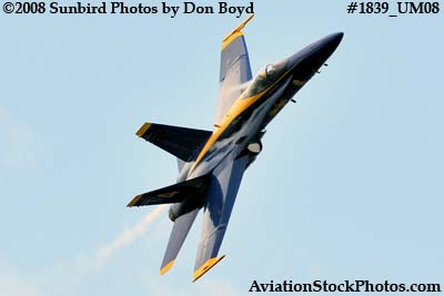 One of the Blue Angels at the 2008 Great Tennessee Air Show at Smyrna aviation stock photo #1839