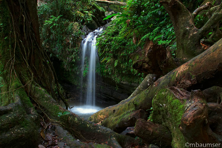 Juan Diego Water Fall At El Yunque National Rain Forest