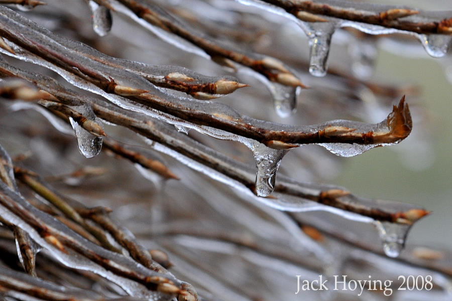 Freezing Rain