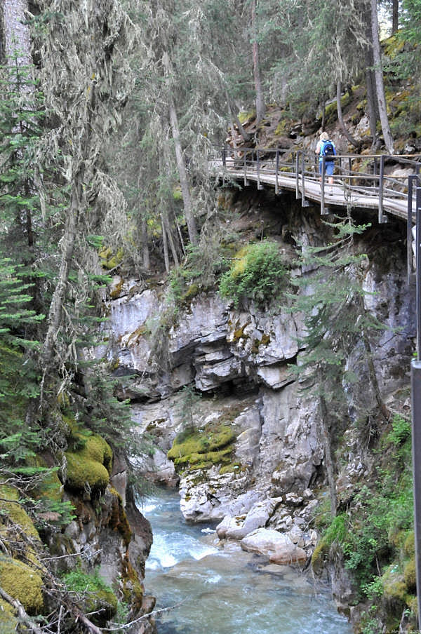Another view of the suspended trail