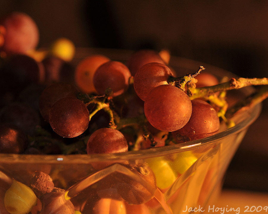 Grapes fresh from the vine