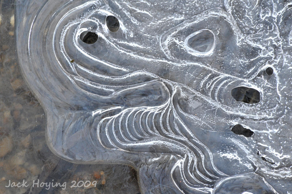 Ghostly Ice Patterns