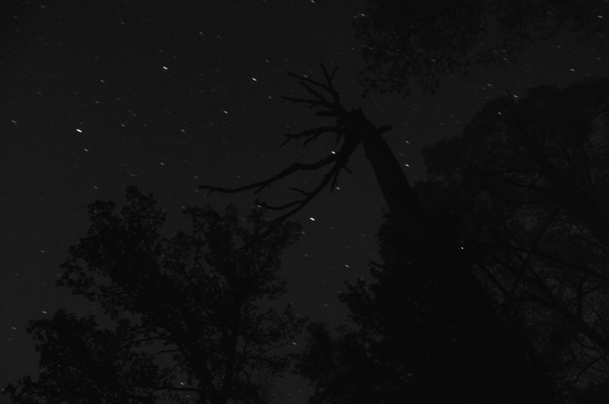 Stary night (90 second exposure)