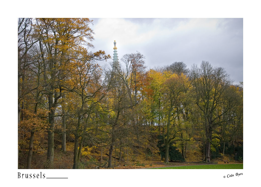 350 - Park de Laeken Autumn Colour - Brussels_D2B3116.jpg