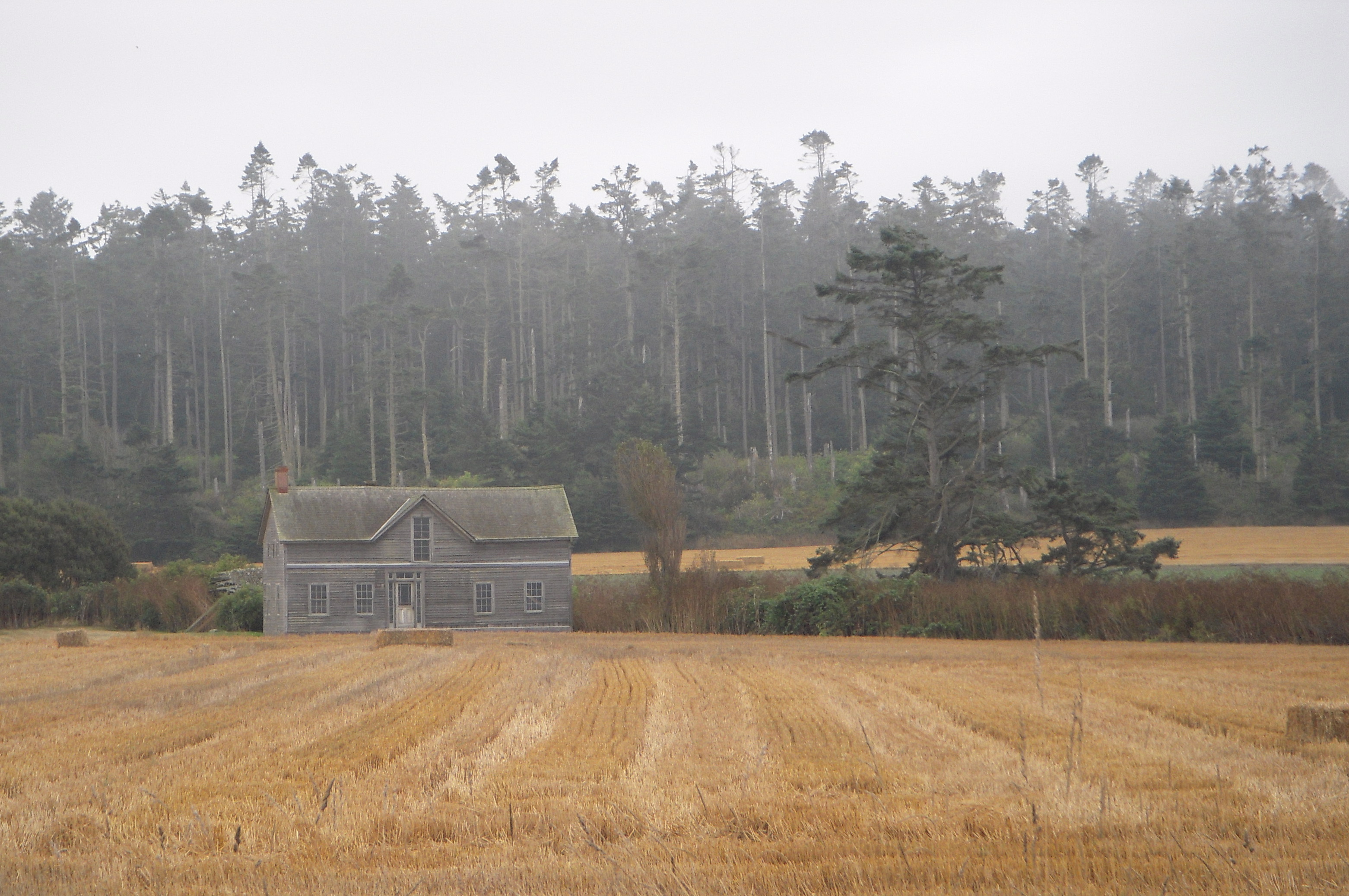 DSCN0489.JPG