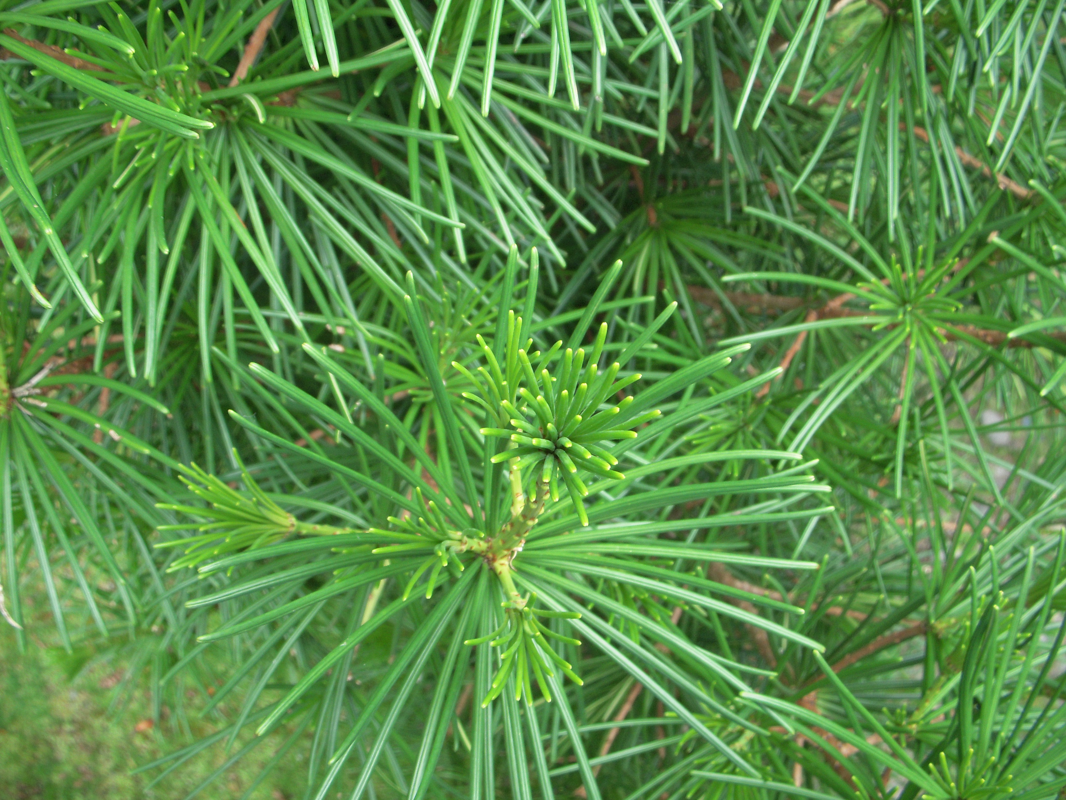 DSCN1279.JPG