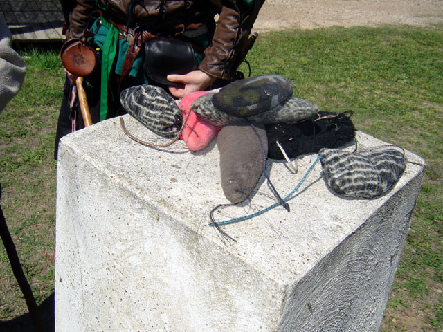 On a perfect puck, all the rats made it to the top of the target successfully