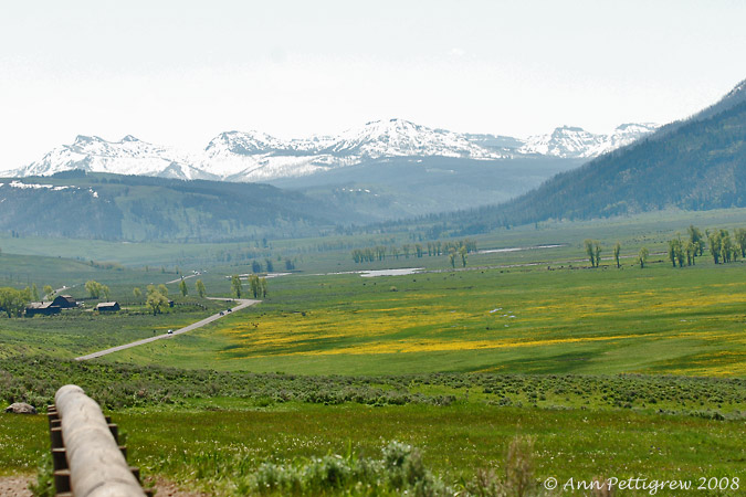 Lamar River Valley