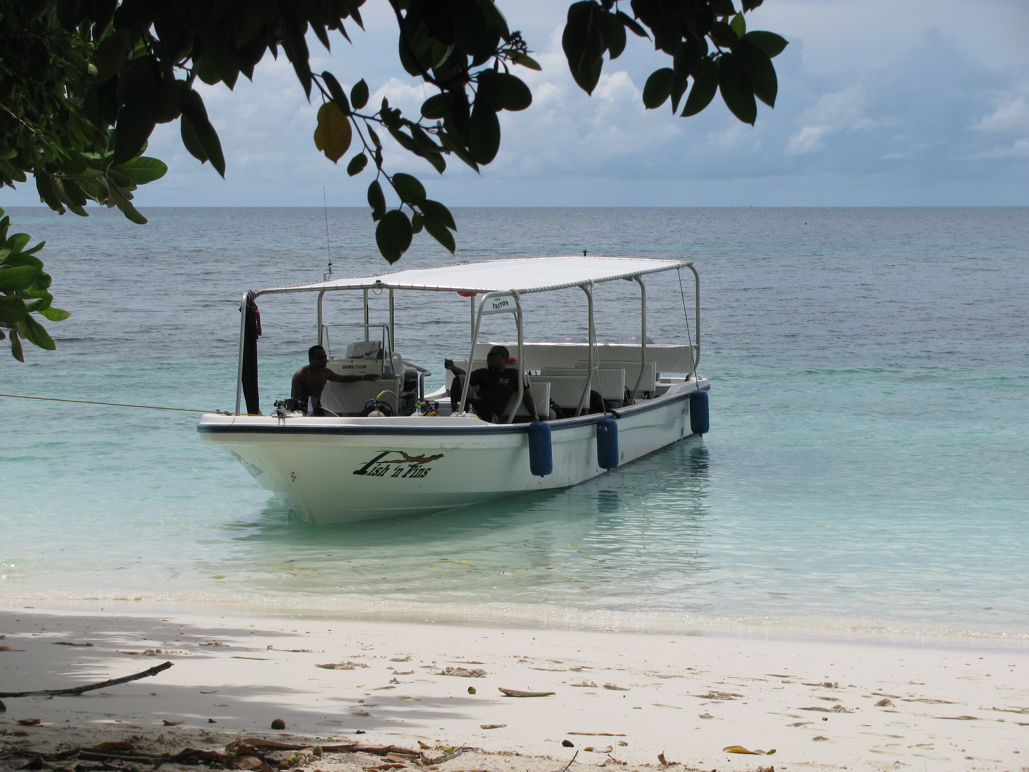 Fish & Fins Boat