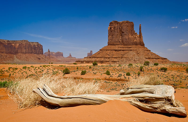 The West Mitten