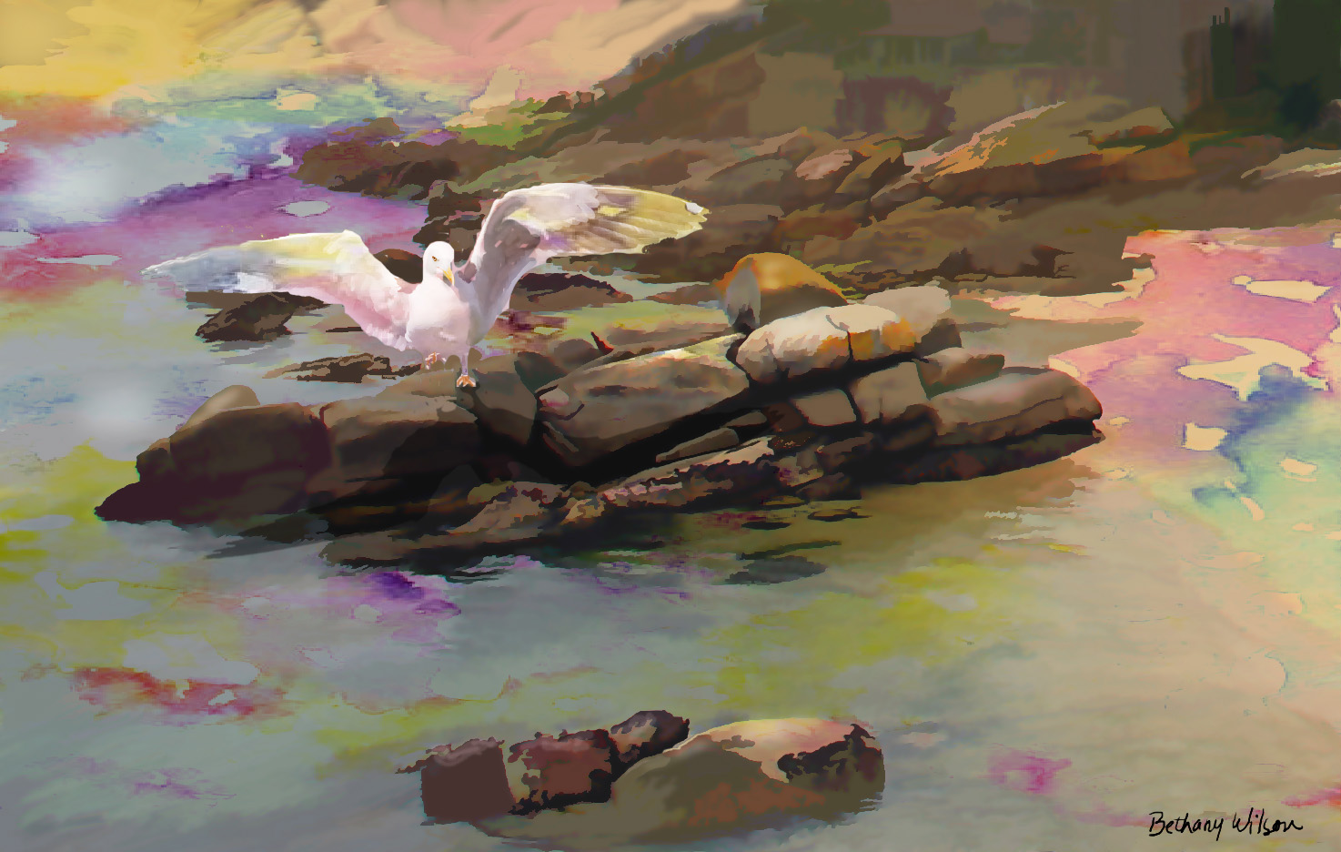 gull landing