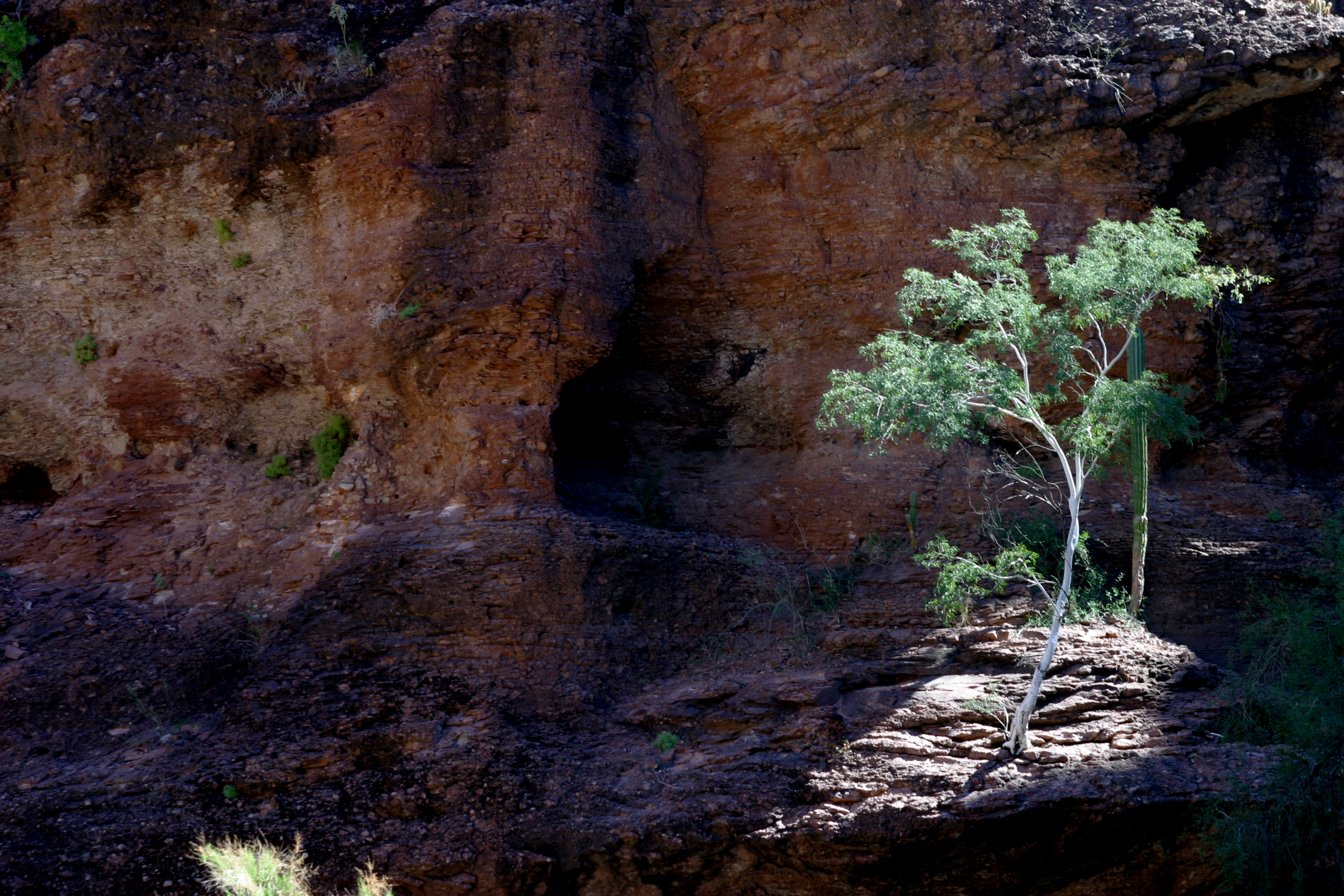 Trinedad Canyons, Mulege