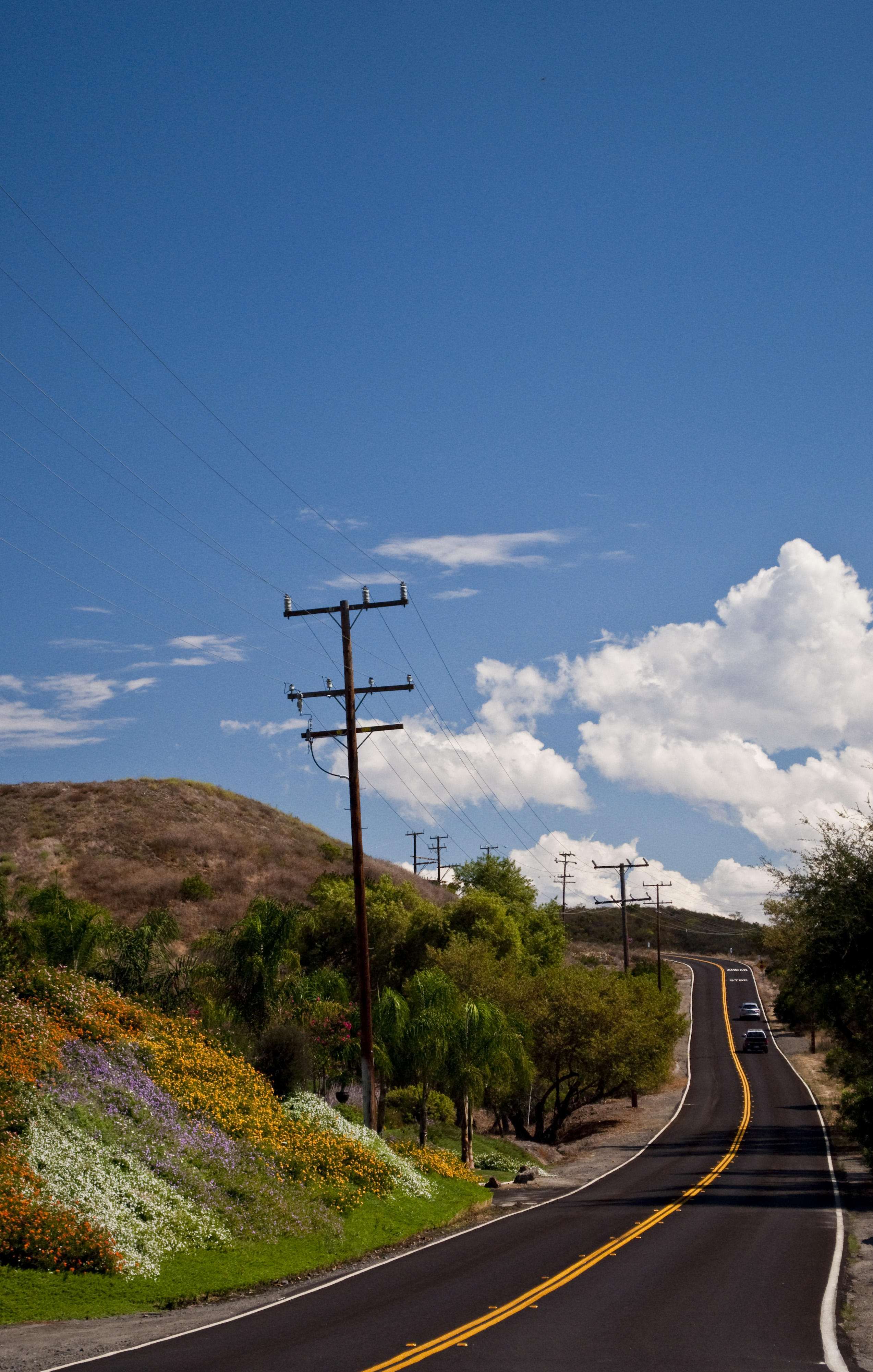 De Luz Road