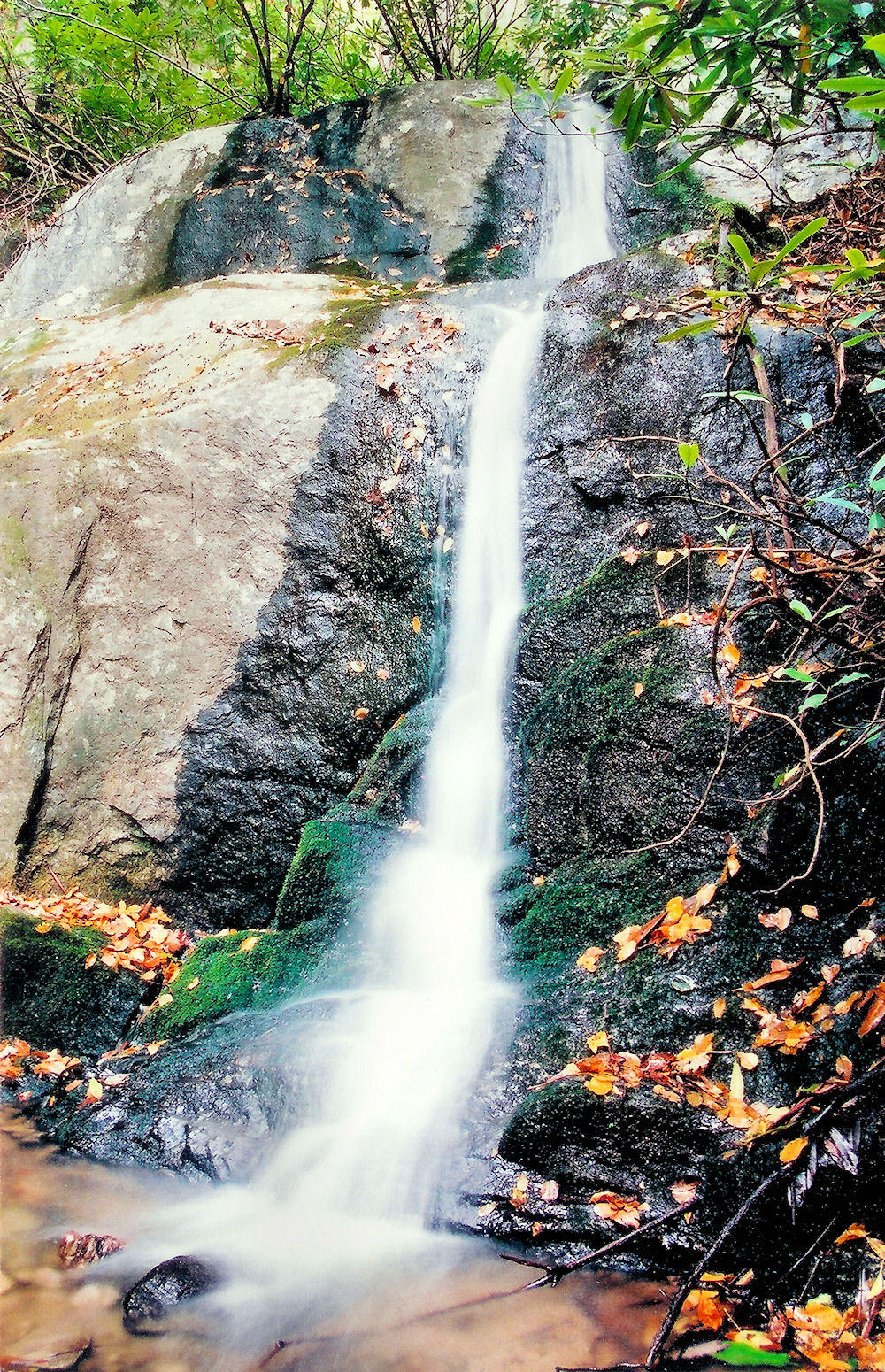 Waterfalls on Tributary to Rich Mountain Creek about 20 to 25 Ft.