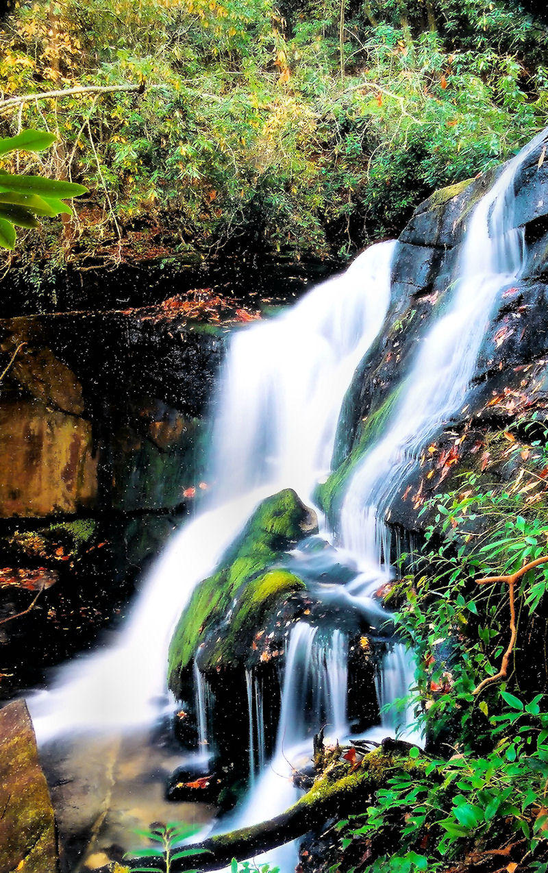 Cedar Rock Falls 15 to 20 ft. NC.  1.