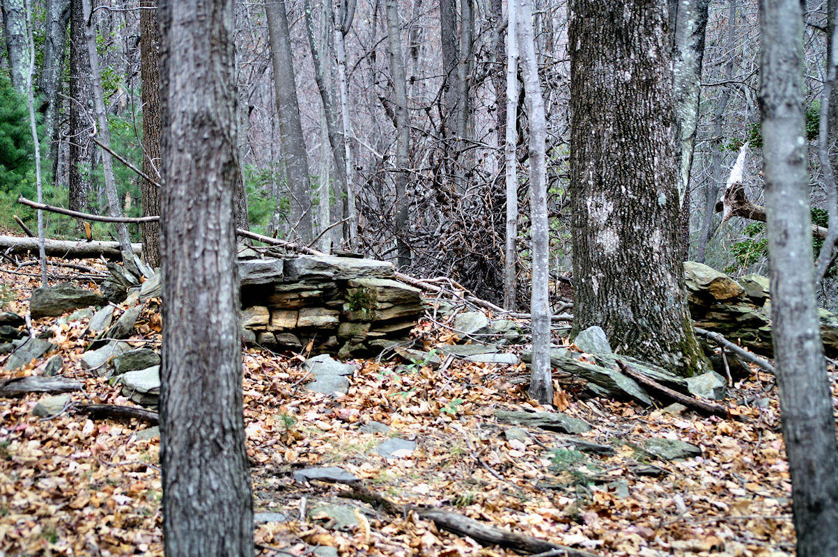 The 2nd old Home/Cabin had 2 fire Places