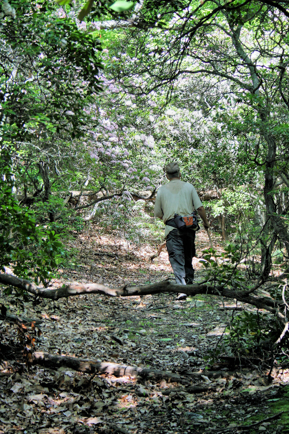 We made good time on these old Rd. we found going to Rich Mt. Creek