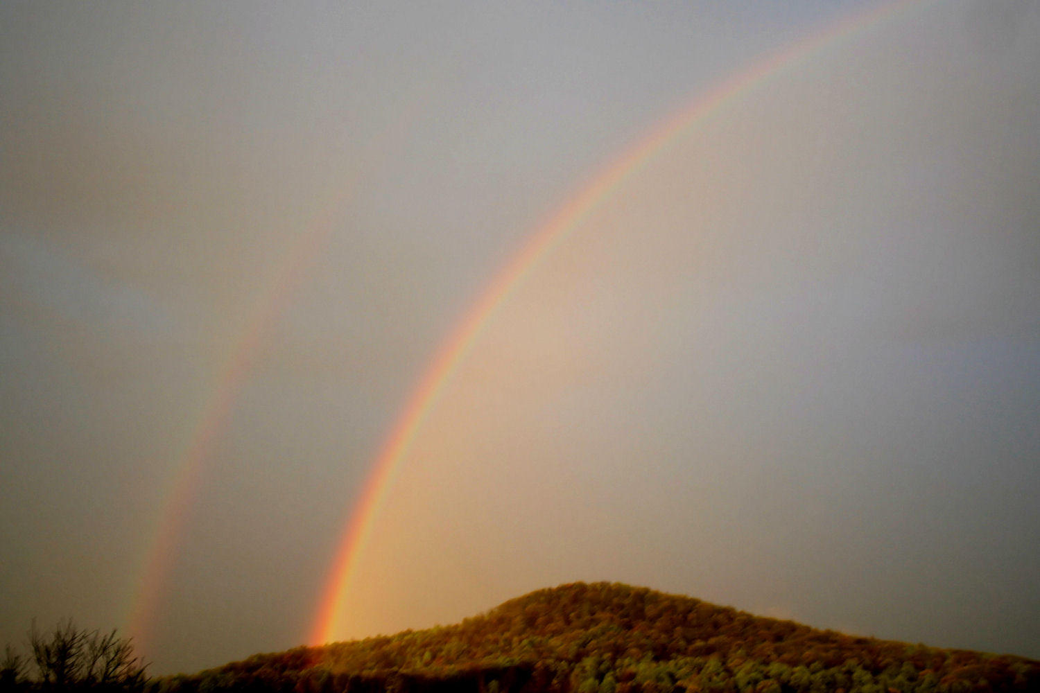 First Rainbow For is Year 4/8/10