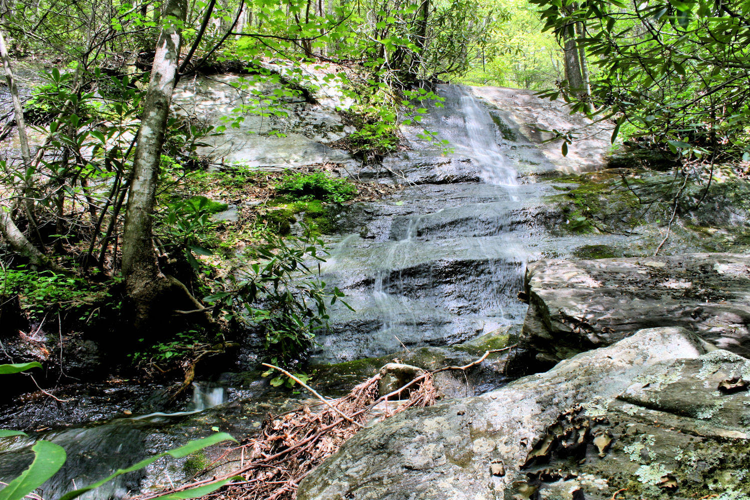 This the highest falls we found on Harris Creek so far About 30 + Ft.