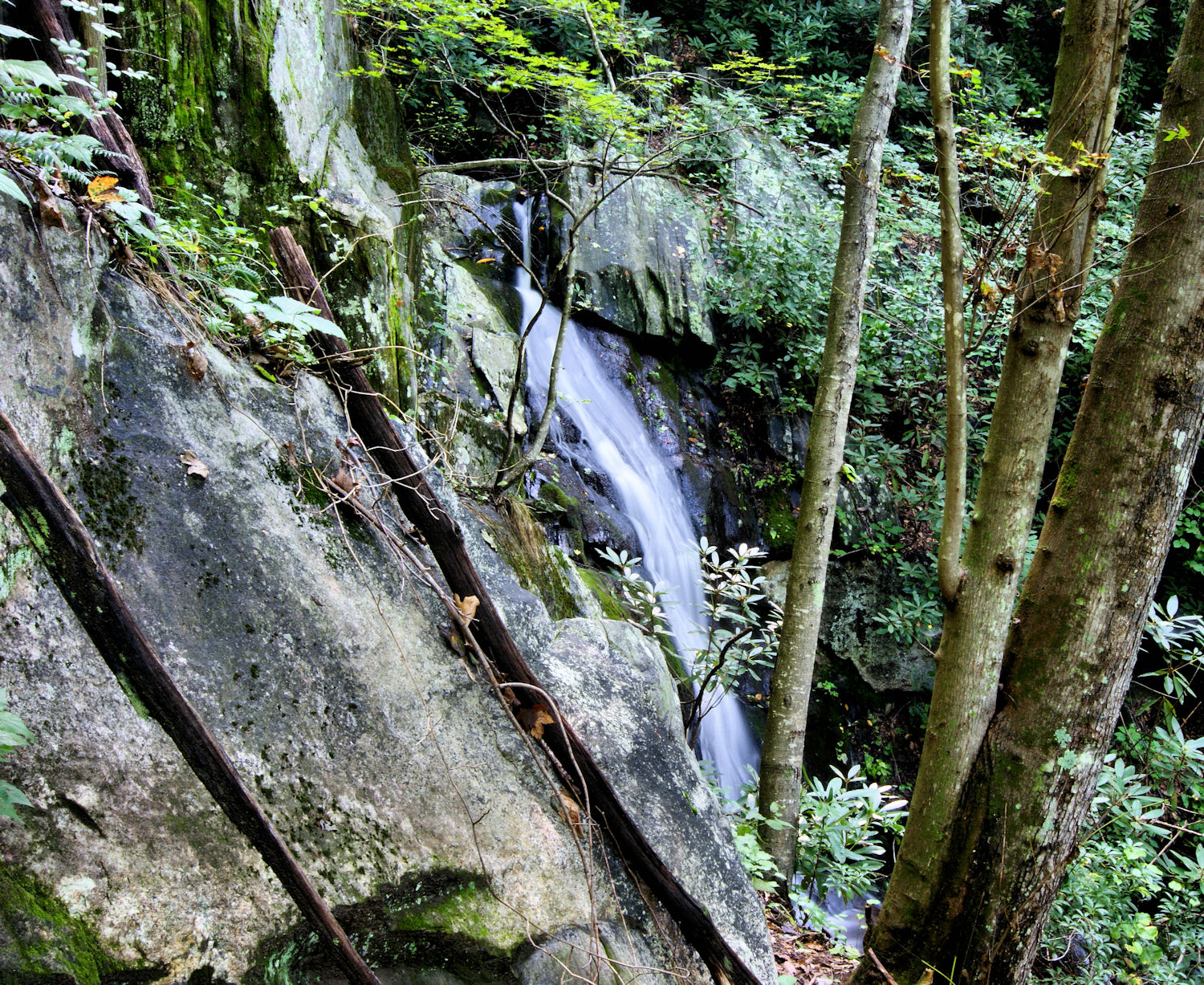 Ellis Creek Falls From A Different Pov