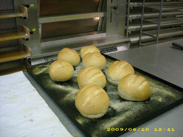 DSCI0661.JPG