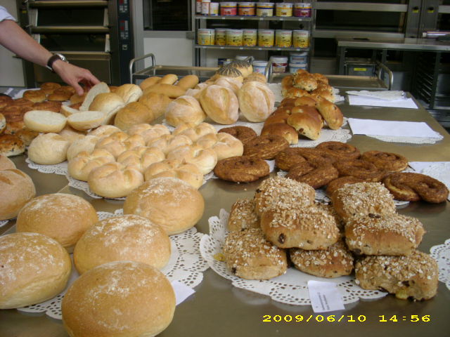 DSCI0784.JPG