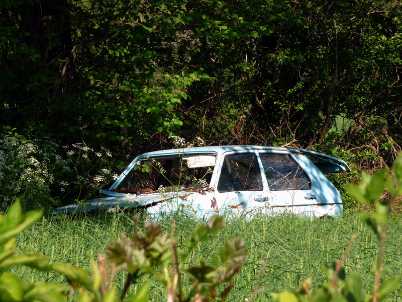 WIC # 6 ~ I used to be a VW Golf