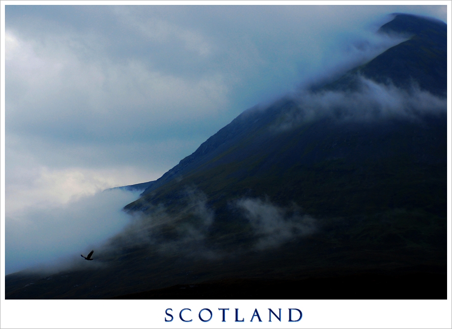 Highland Hawk