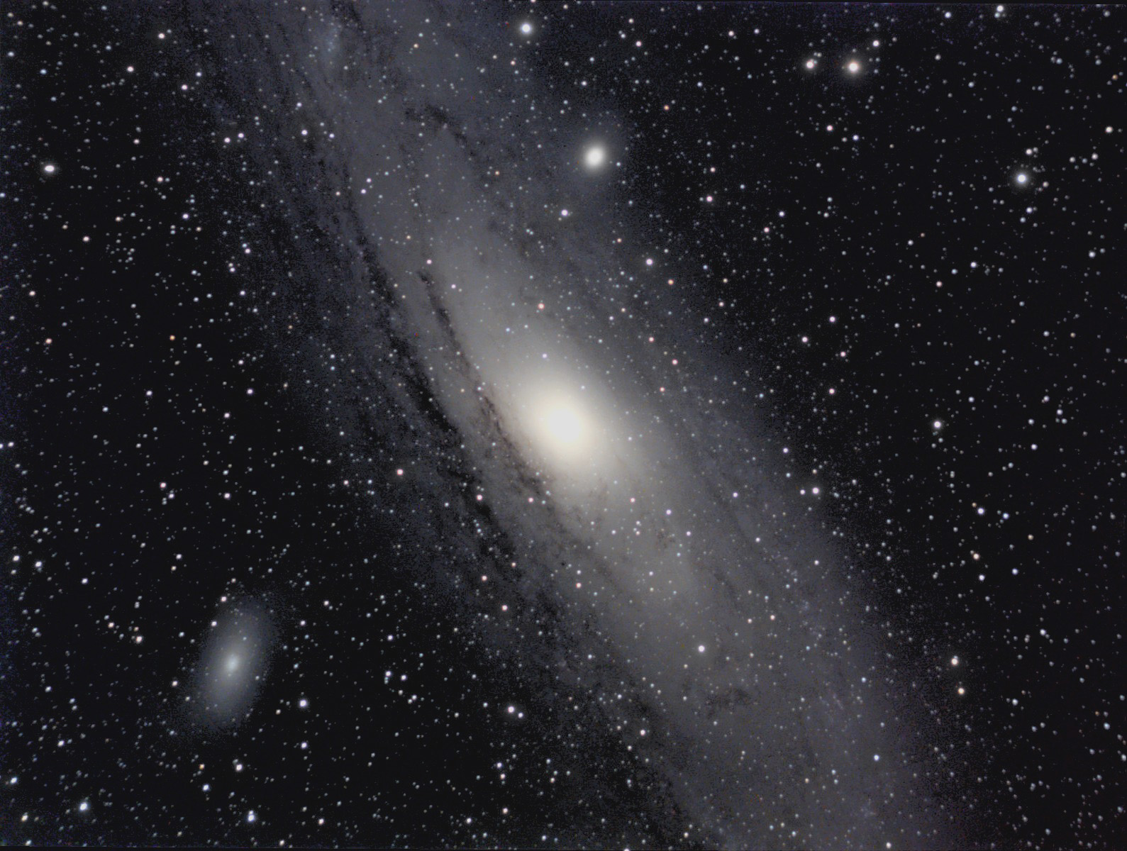 m31 colour variants