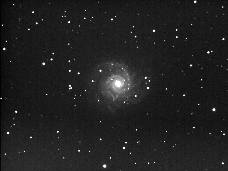 M74
